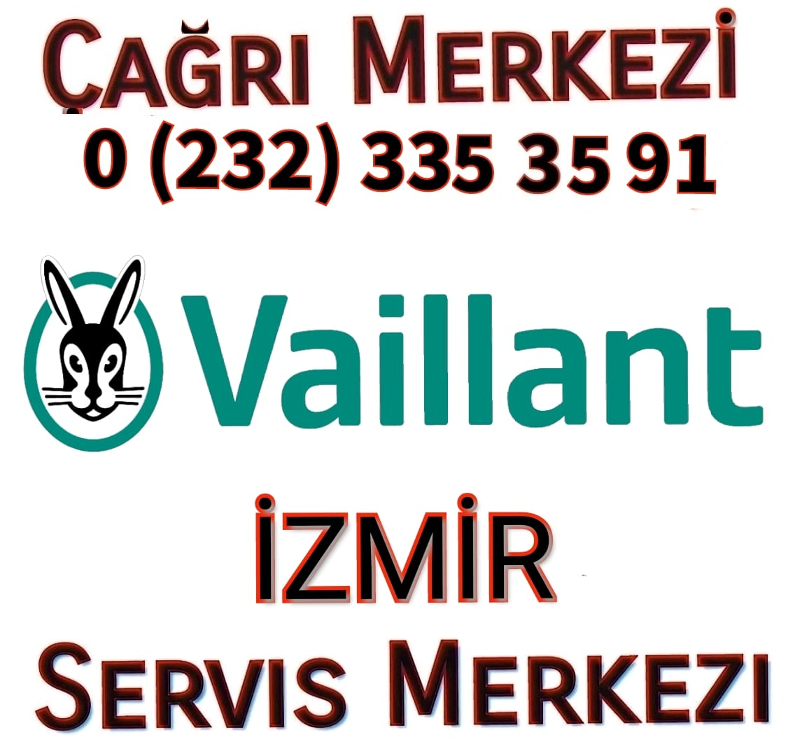 Bornova Vaillant servisi